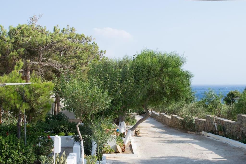 Lazaros & Pagona Houses 2 Ierapetra  Bagian luar foto